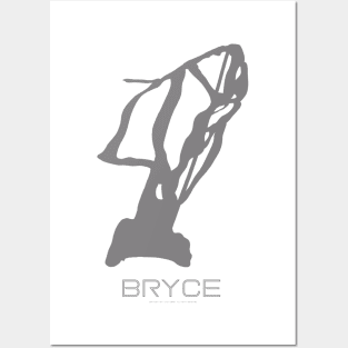 Bryce Resort 3D Posters and Art